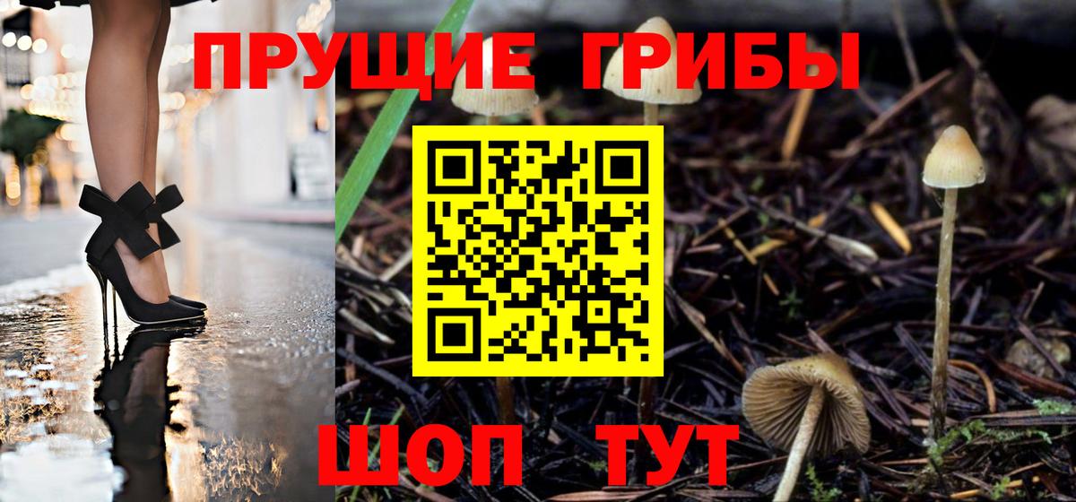Галлюциногенные грибы Psilocybine cubensis  Вход с VPN  Азов  Галлюциногенные грибы Psilocybine cubensis 